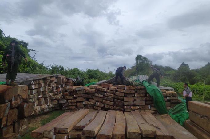 ပုံ- ကြက်တူရွေးတောင်ကျေးရွာအနီး ဖမ်းဆီးရမိသည့် သစ်များ(ပုံ-တပ်မတော်)