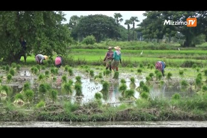 Embedded thumbnail for မန္တလေးတိုင်းမှာ သိမ်းဆည်းခံလယ်ယာမြေပြန်လည်ပေးအပ်တာ ဧက ၂၂၀၀၀ကျော်ရှိ