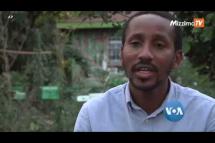 Embedded thumbnail for ငှက်အကောင်ရေ ၆ သန်း သတ်မယ့် ကင်ညာအစိုးရ 