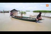 Embedded thumbnail for လူပေါင်းသိန်းနဲ့ချီဒုက္ခရောက်နေတဲ့ အိန္ဒိယရေလွှမ်းမိုးမှု