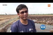 Embedded thumbnail for ထိုင်းလယ်ယာစိုက်ပျိုးရေးအတွက် ဘဲတွေကူညီ